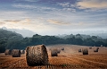 paysage 3_08_11 n03